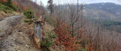 Joneczkowe Rycerki ↔ Rozejście szlaków