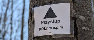 Przysłup