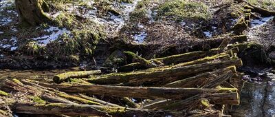 Duszatyn ↔ Jeziorka Duszatyńskie