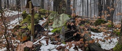 Baranie ↔ Olchowiec, granica parku narodowego