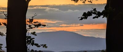 Polana Krawcowa ↔ Jałowiec