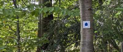 Koszarawa, Walczaki ↔ Rozejście szlaków