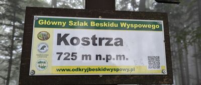Kostrza