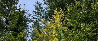 Habkowce, parking ↔ Pod Łopiennikiem