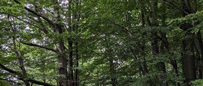 Habkowce, parking ↔ Pod Łopiennikiem