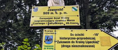 Jaworniki