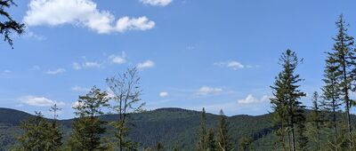 Sidzina, Dom Wczasów Dziecięcych ↔ Hala Krupowa