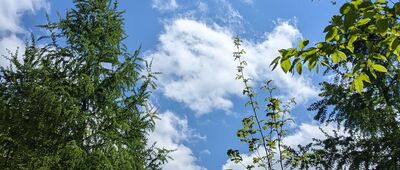 U Mariánského sadu ↔ U Šrejberky