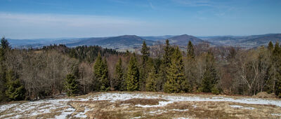 Polana Turbaczyk [Widok Na Luboń]