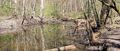 Skrzyżowanie ze ścieżką dydaktyczną ↔ Polana rekreacyjna Lipków