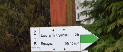 Dolina Czarnego Potoku