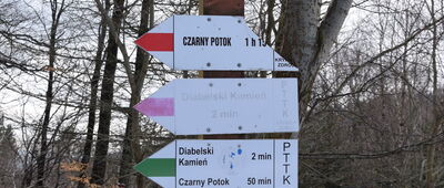 Pod Jaworzyną Krynicką, odejście do schroniska