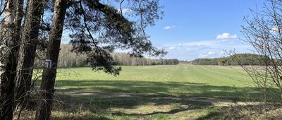 Rezerwat Szachownica ↔ Draby