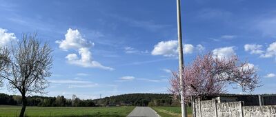 Węże, las ↔ Draby