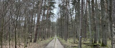 Rezerwat Dąbrowa ↔ Kapituła