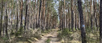 Broników ↔ Rezerwat Dąbrowa
