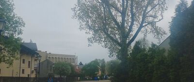 Wieliczka, zamek ↔ Wieliczka, Trakt Solny [Trakt solny]