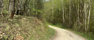 Rozdroże przy Rafińskich ↔ Rozdroże przy Siedliskach