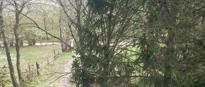 Wysoka Wieś ↔ Dylewska Góra, parking