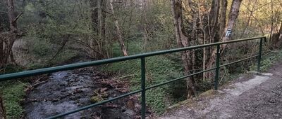 Kłopotnica, rozejście szlaków ↔ Rozejście szlaków zielony / czarny