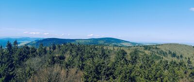 Kalenica