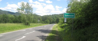 Żubracze