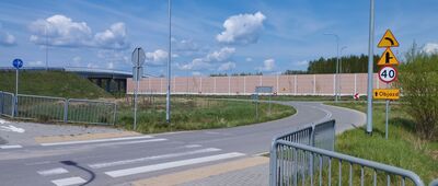 Rozejście szlaków niebieski / żółty ↔ Dębe Wielkie, stacja kolejowa [Olesin, ul. Staropolska]