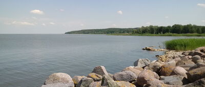 Tolkmicko, port [Widok z portu w stronę wschodnią (okolice plaży)]