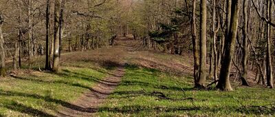 Baranie ↔ Pod Baranim