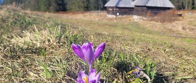 Polana Kopieniec ↔ Polana Kopieniec