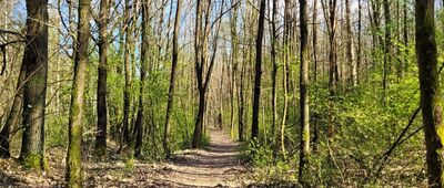 Molendy, krzyż ↔ Rezerwat Źródło Królewskie