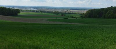 Rozejście szlaków zielony / czarny ↔ Pogwizdów, ul. Jodłowa