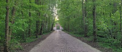 Latoszki, rozejście szlaków ↔ Park Natoliński