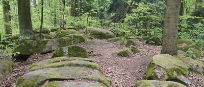 Góra Dobrzeszowska [Dobrzeszowska [21.04.2025]]