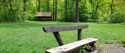 Tarnobrzeg, ul. Borów ↔ Rozejście szlaków [Polana na niebieskim szlaku i czerwonej ścieżce]