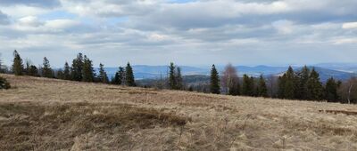 Lachów Groń ↔ Pod Suchą Górą