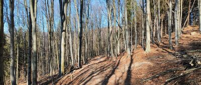 Kurčínska Magura ↔ Čirč, rázc.