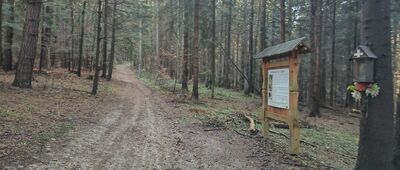 Czarna Młaka, skrzyżowanie ↔ Odejście do Czarnej Młaki