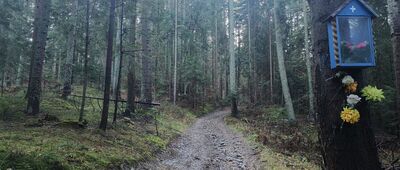 Odejście do Czarnej Młaki ↔ Kidałki