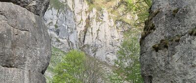 Pod Chełmową ↔ Brama Krakowska