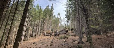 Adršpach ↔ Pod Křížovým vrchem