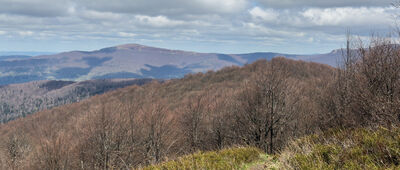Jawornik ↔ Rabia Skała [Żółty szlak w kierunku Wetliny. W tle Smerek.]