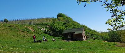 Rozejście szlaków ↔ Kamień Łukawski, pętla autobusowa