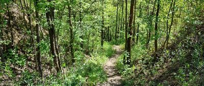 Rozejście szlaków ↔ Rozejście szlaków [Jest stromo]