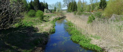 Rezerwat Góra Pieszczana ↔ Nowosiółki