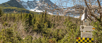 Hala Gąsienicowa [Rozejście szlaków pod Murowańcem]