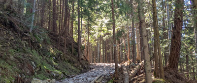 Odejście na Nosalową Przełęcz [Odejście na Nosalową Przełęcz]