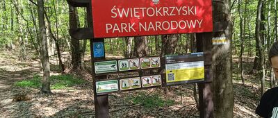 Klonów, granica parku narodowego