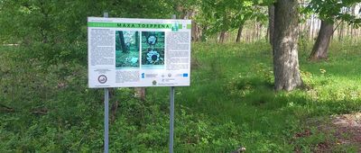 Sarnówek ↔ Iława, ul. Sienkiewicza