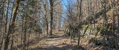 Piechowice, ul. Wiejska ↔ Szklarska Poręba, os. Klimczoka, tory